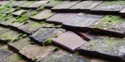 Chelwood roof repair costs